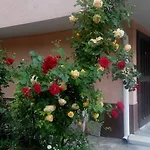 Lazur