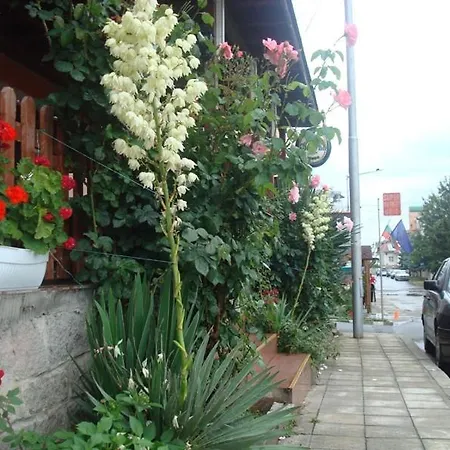 Lazur Hotel Ravda