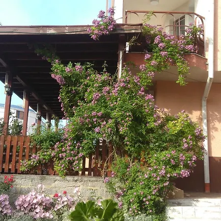 Hotel Lazur 2*