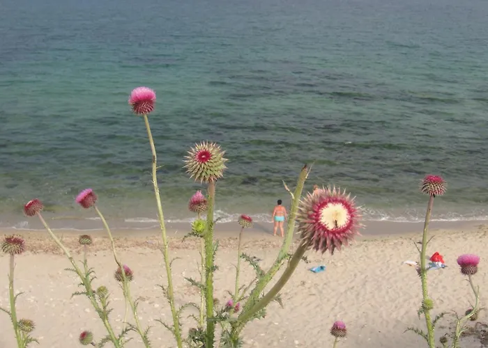 Ξενοδοχείο Lazur Ράβντα